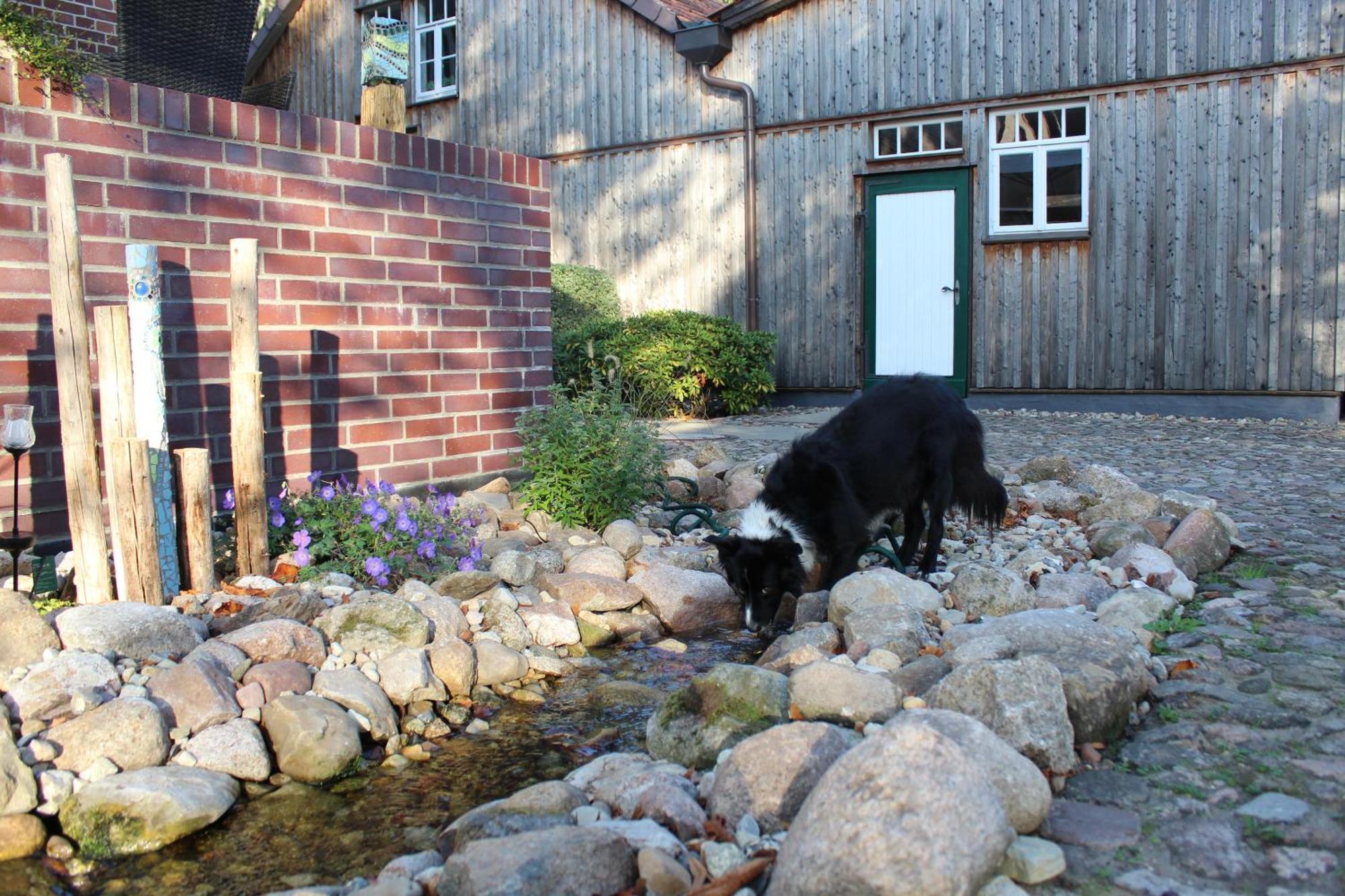 Landgasthof Wildwasser Wolthausen Exterior photo